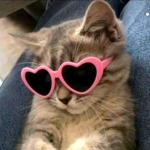 Meet your Posher, Peyton